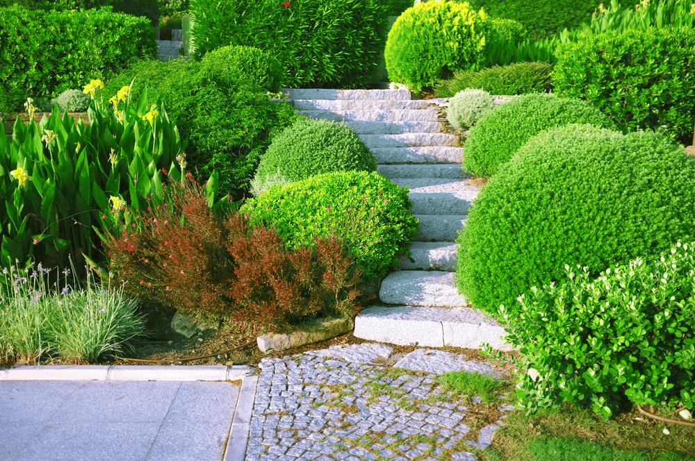 Landscape Design Styles in Redmond for Different Property Types