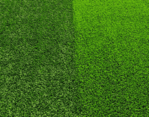 A patch of grass divided vertically in half, with the left side appearing dark green and the right side bright green, showing a distinct contrast in color and texture.