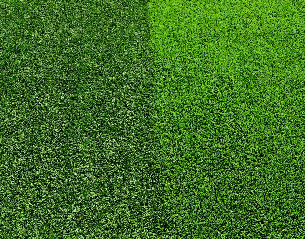 A patch of grass divided vertically in half, with the left side appearing dark green and the right side bright green, showing a distinct contrast in color and texture.
